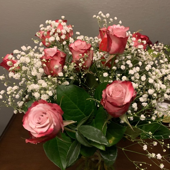 Meet your Posher, Brittany - Picture 1 of 1